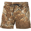 Men Beach Shorts Summer Fashion 3d Short Geometric Abstract Print Pattern board shorts off white swimwear short homme